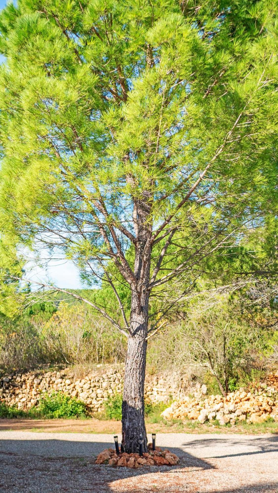 Les Maisons De Loup A Loup コティニャック エクステリア 写真
